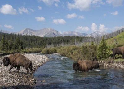 پارک های ملی کانادا، طبیعتی خارق العاده و نفس گیر