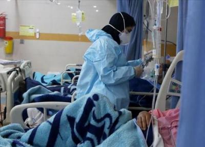 فوتی کرونا در بوشهر رکورد زد