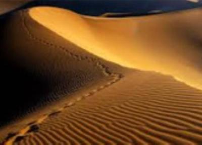 جلوگیری از پیش روی کویر