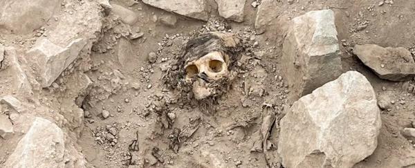عکس ، این مومیایی 3 هزار ساله قربانی بوده است؟ ، معبدی که زیر 7 تن زباله دفن شده بود