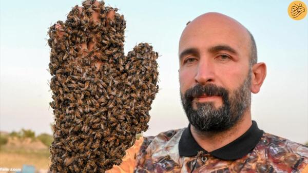 مرد زنبور در یک قدمی ثبت در گینس