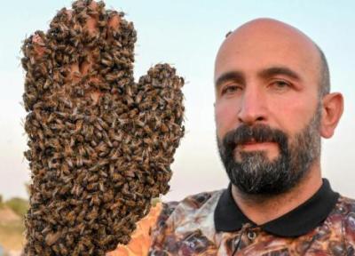 مرد زنبور در یک قدمی ثبت در گینس