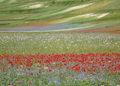 این مکان های باورنکردنی بهشت روی زمین هستند